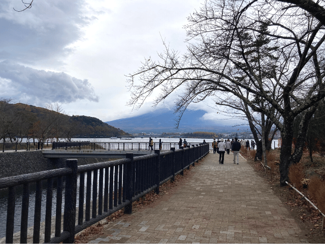 富士河口湖町、紅葉まつり、富士山側